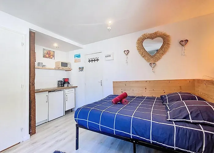 Petit Star Hyper Centre Apartment *